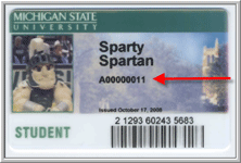 Michigan State University Online Ticket Office My Account